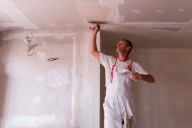 Professional Dry wall and painting in Cedaredge, CO